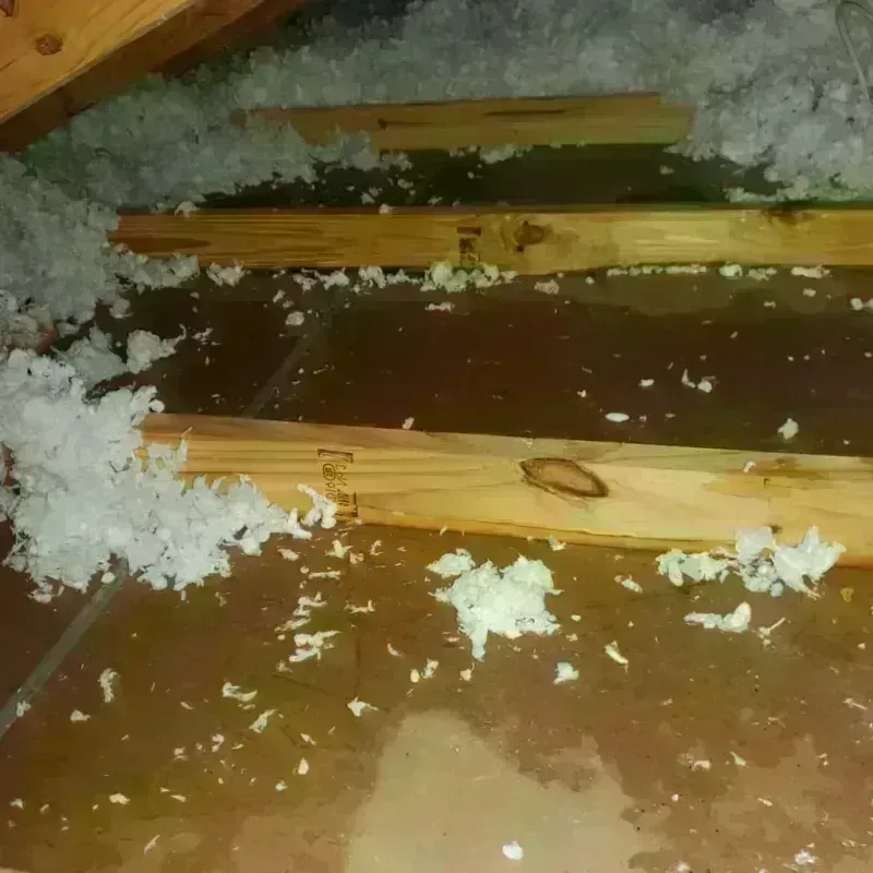 Attic Water Damage in Orangeburg County, SC