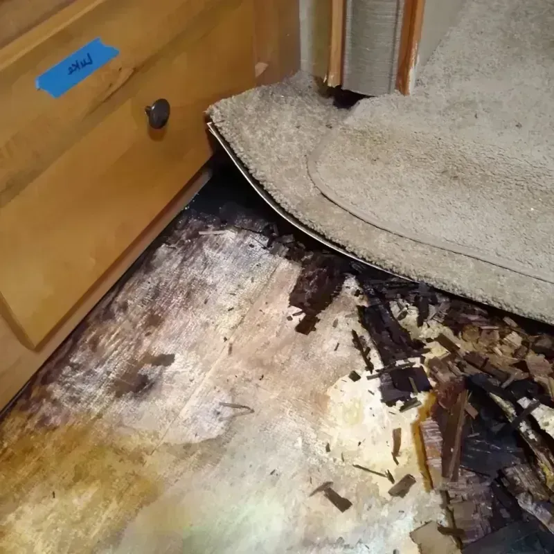 Wood Floor Water Damage in Orangeburg County, SC